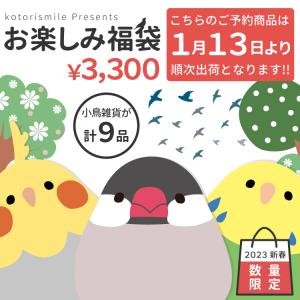 品 　3,300円　1/13〜 数量限定　福袋　happybag　訳あり