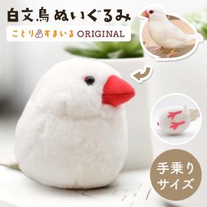 ぬいぐるみ ボタンインコ ＜10 C+1シリーズ＞ sm146 [M便 1/4