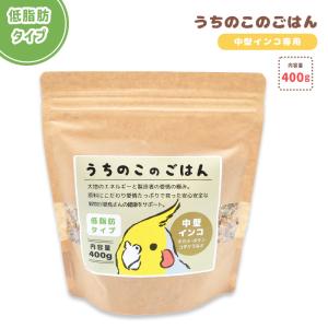 【ことりすまいる】うちのこのごはん ★中型インコ...の商品画像