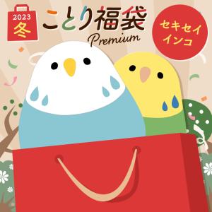 2023年冬 ことり福袋 セキセイインコ 11,000円 ※福袋以外の商品の同梱不可