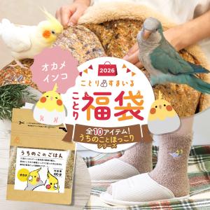 ＼数量限定／ことり福袋2026★うちのことほっこりシリーズ オカメインコ 全10点セット★小鳥グッズ 小鳥雑貨 福袋 ハッピーバッグ 冬の福袋 プレゼント ギフト｜ことりすまいるYahoo!店
