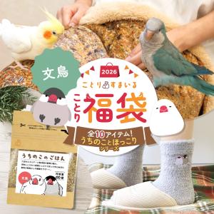 ＼数量限定／ことり福袋2026★うちのことほっこりシリーズ 文鳥 全10点セット★小鳥グッズ 小鳥雑貨 福袋 ハッピーバッグ 冬の福袋 プレゼント ギフト｜ことりすまいるYahoo!店