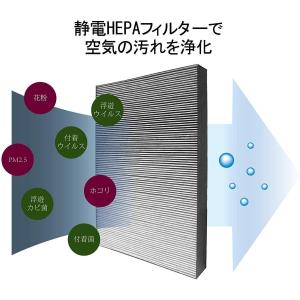 シャープ 空気清浄機交換フィルター 集じん・脱...の詳細画像5