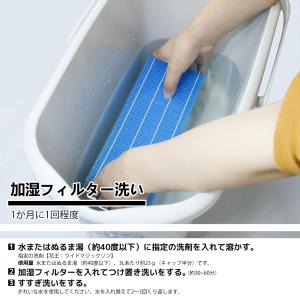2枚セット H060517 ダイニチ 抗菌気化...の詳細画像4