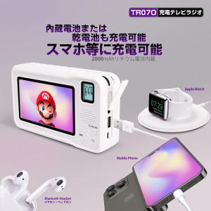 PLEX テレビチューナー USB接続 miniB-CAS カードリーダー搭載 地上