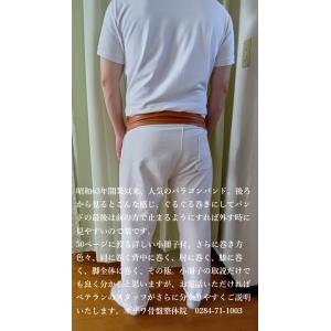 バラコンバンド・М(中)4.20m バラコンバ...の詳細画像2
