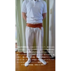 バラコンバンド・М(中)4.20m バラコンバ...の詳細画像1