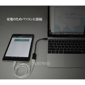 サムスン/Galaxy対応 USB-C - U...の詳細画像4