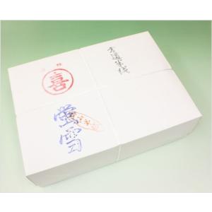 呉竹 写経墨 銀泥墨 彩輝 0.5丁型 : 書道用品 筆舗 弘梅堂 - 通販