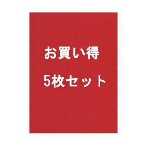 書道下敷 高級フェルト 半紙美濃判 赤2mm 5枚セット｜koubaido