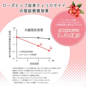 【体脂肪を減らす】低糖質パン 低糖質Plus ...の詳細画像3
