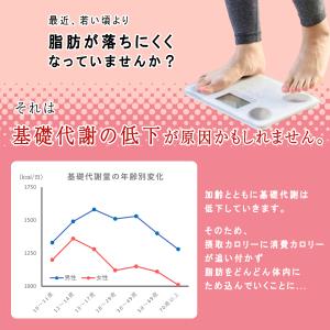 【体脂肪を減らす】低糖質パン 低糖質Plus ...の詳細画像4