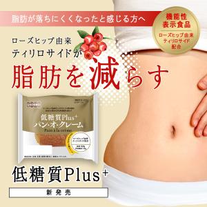 【体脂肪を減らす】低糖質パン 低糖質Plus ...の詳細画像1