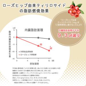 【体脂肪を減らす】低糖質パン 低糖質Plus ...の詳細画像3