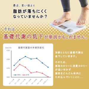 【体脂肪を減らす】低糖質パン 低糖質Plus ...の詳細画像4