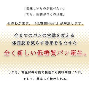 【体脂肪を減らす】低糖質パン 低糖質Plus ...の詳細画像5