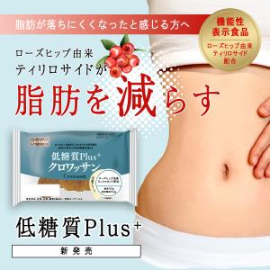 【体脂肪を減らす】低糖質パン 低糖質Plus ...の詳細画像1
