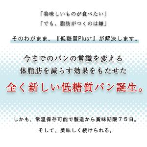 【体脂肪を減らす】低糖質パン 低糖質Plus ...の詳細画像5