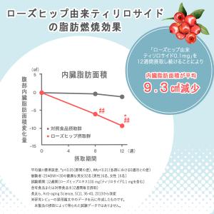 低糖質パン 低糖質Plus クロワッサン24個...の詳細画像4