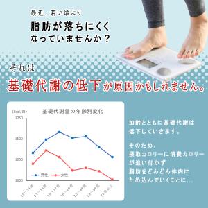低糖質パン 低糖質Plus クロワッサン24個...の詳細画像5