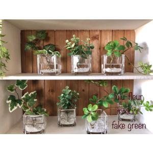 観葉植物 フェイクグリーン造花 シュガーバイン アイビー ユーカリ ウォーターアレンジ マジカルウォーター 人口固型水 ガラスキューブ Ig1 花工房 Fleur 通販 Yahoo ショッピング