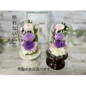 プリザーブドフラワー　仏花　供花　ガラスドーム　ガラスカバー付き　菊<楓＞　H18ｃｍ　枯れない仏花　お悔み　仏壇　納骨堂　お供え　菊
