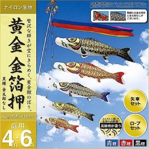 こいのぼり 庭園用 旭天竜 【2019年新作】 鯉幟 セット各種 鯉3