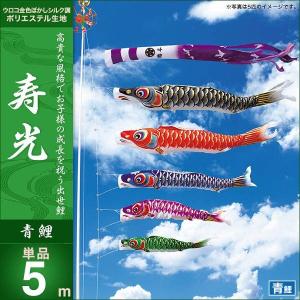 こいのぼり 庭園用 キング印 鯉幟 ナイロン鯉 青鯉5m 単品 代引き&熨斗