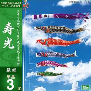 こいのぼり 庭園用 キング印 鯉幟 寿光 紫鯉3m 単品 代引き&熨斗不可