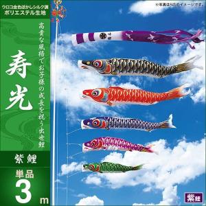こいのぼり 庭園用 キング印 鯉幟 2019年新作 寿光 庭園セット4m