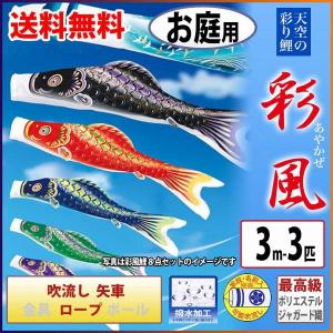 こいのぼり 庭園用 旭天竜 【2019年新作】 鯉幟 家紋・名前入可能