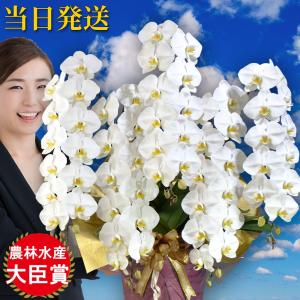 お中元 大輪　胡蝶蘭 5本立ち70輪 会社設立 オープン 内祝い スタンド 大輪 お悔や花 お供え 葬儀 葬式 仏事 法事 １回忌 献花 おしゃれ