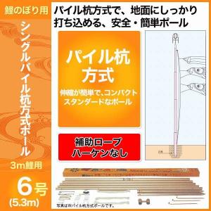 鯉のぼり用 スカイポール 6号 3m鯉用 kn-p-2106 : さくらソレイユ