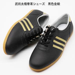 太極拳 / 太極拳シューズ / 武術シューズ /...の商品画像