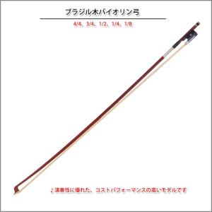 バイオリン / ヴァイオリン / 楽器 / 音楽 / 演奏 /