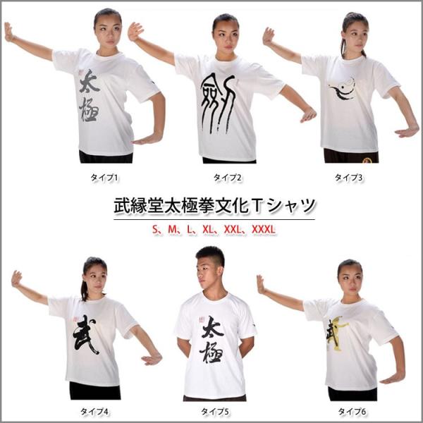 (太極拳)カッコイイ中国武術デザインＴシャツ！練習には武術らしい動きやすいTシャツが一番！太極拳論文...