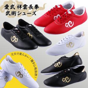 太極拳 / 太極拳シューズ / 武術シューズ /...の商品画像
