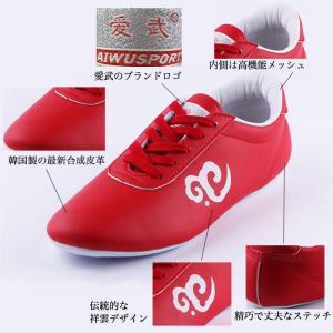 太極拳 / 太極拳シューズ / 武術シューズ ...の詳細画像1