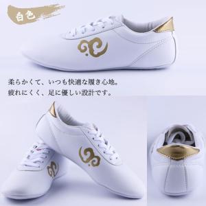 太極拳 / 太極拳シューズ / 武術シューズ ...の詳細画像2