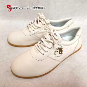 太極拳 / 太極拳シューズ / 武術シューズ /...の商品画像