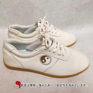 太極拳 / 太極拳シューズ / 武術シューズ ...の詳細画像2