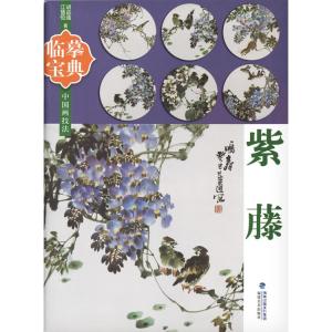 水墨画 / 水墨画集 中国画集 墨彩画 絵手紙 日本画 学画 [張大千天女散