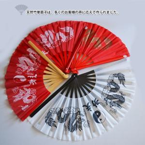 太極拳 / 扇 / 太極扇 / カンフー扇 /...の詳細画像4