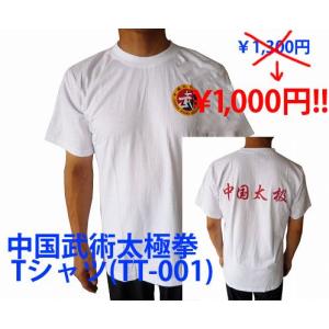 太極拳 / カンフーパンツ / Tシャツ / 武術シューズ　太極拳武術カンフー初心者セットA｜kougabunkaten