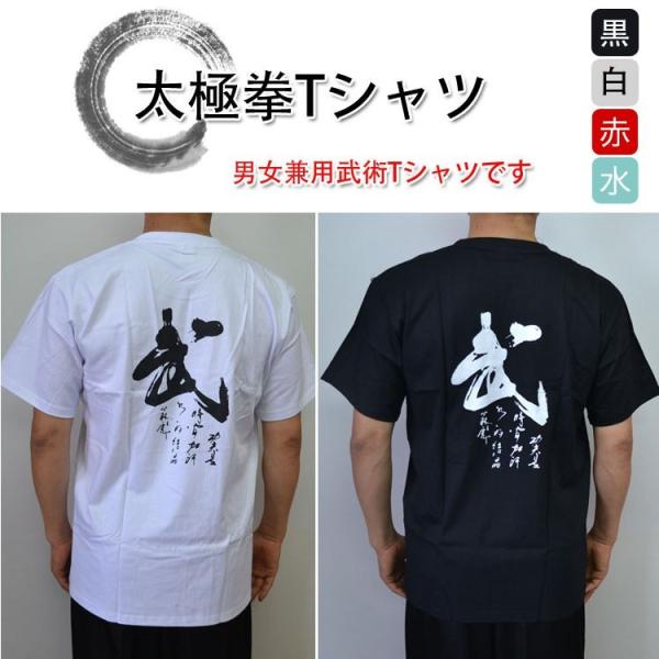 太極拳 カンフー【武術Ｔシャツ・半袖】〜武〜