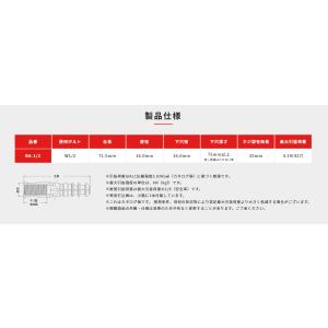 旭化学工業 ALCビッグアンカーMK-II B...の詳細画像1