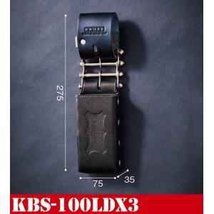 KNICKS（ニックス） KNS-100BOX 公認カスタム 【オレンジ】 （バリ