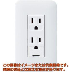 Panasonic（パナソニック） 埋込アースターミナル付 接地ダブル