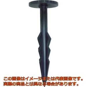 【代引不可・配達日・配達時間帯指定不可】TRUS...の商品画像
