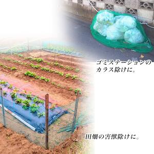 足場ネット1.8m×6m ハトメ付き 2枚セッ...の詳細画像3
